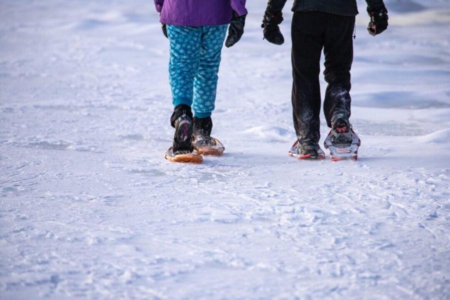 Exploring the fields on snowshoes