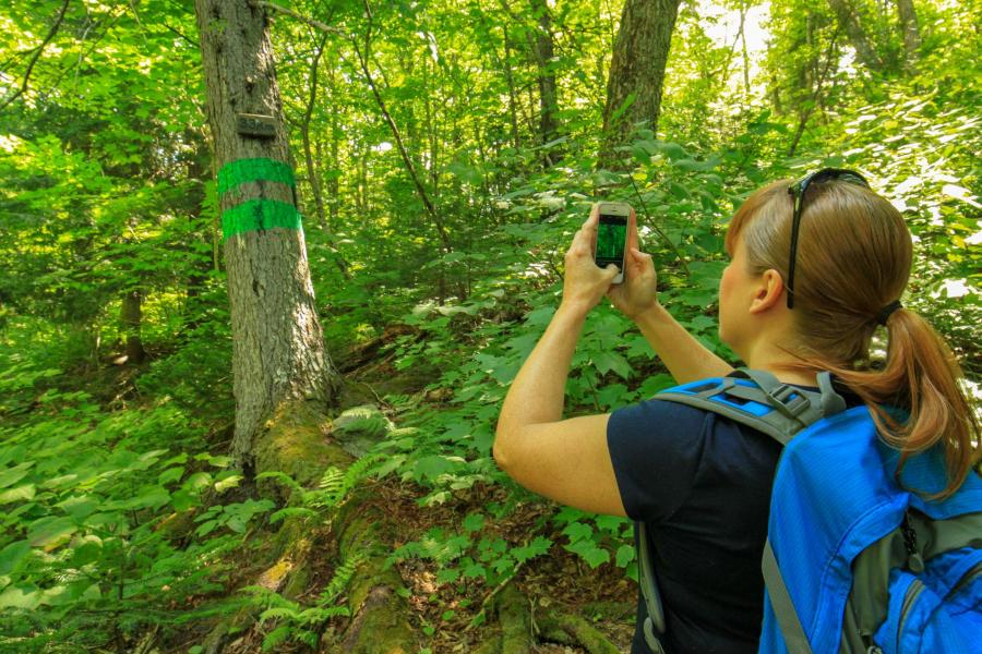 The Dobson Trail