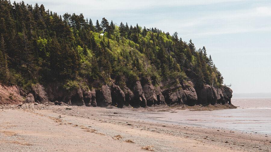 A walk on the beach at The Hopewell Rocks Park