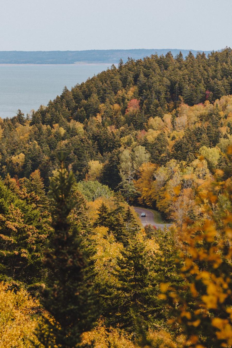 Fundy National Park