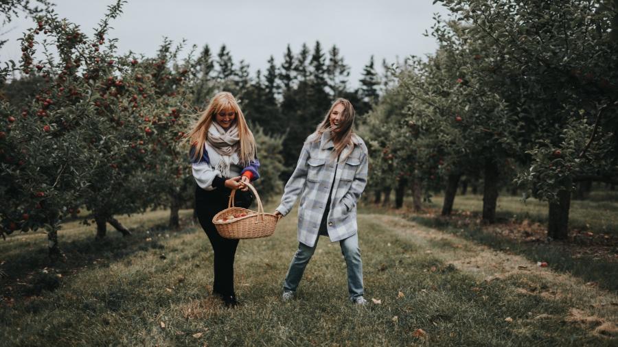 Belliveau Orchard, Memramcook