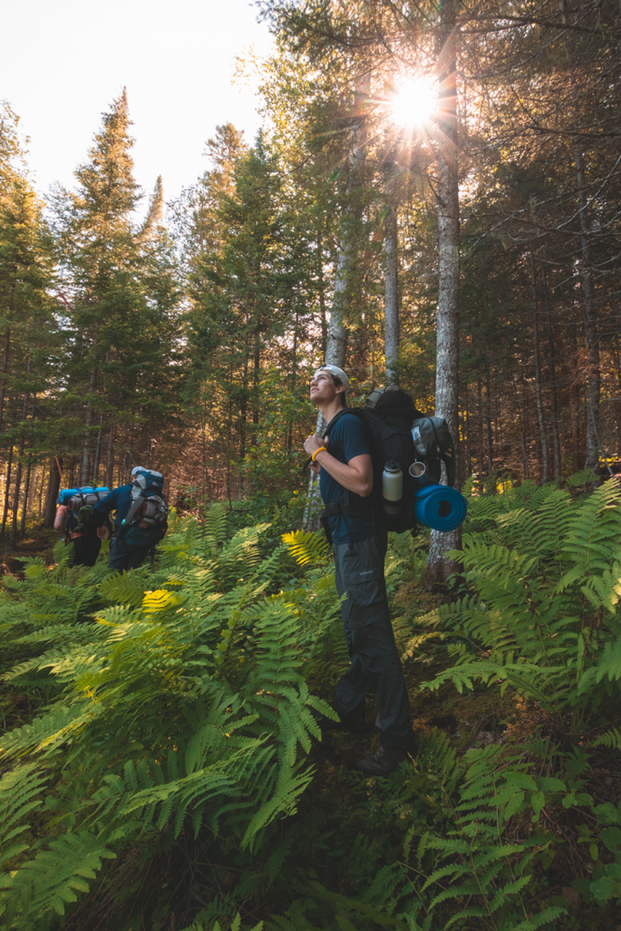Nepisiguit Migmaq Trail, New Brunswick, Canada
