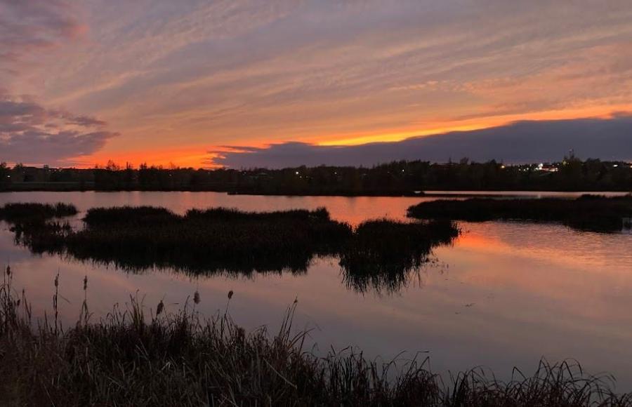 Sun setting on Sackville Waterfowl Park