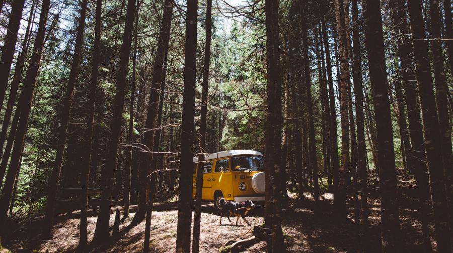 a yellow van in the woods