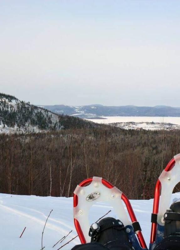 View of Mount Sugarloaf from the trails.