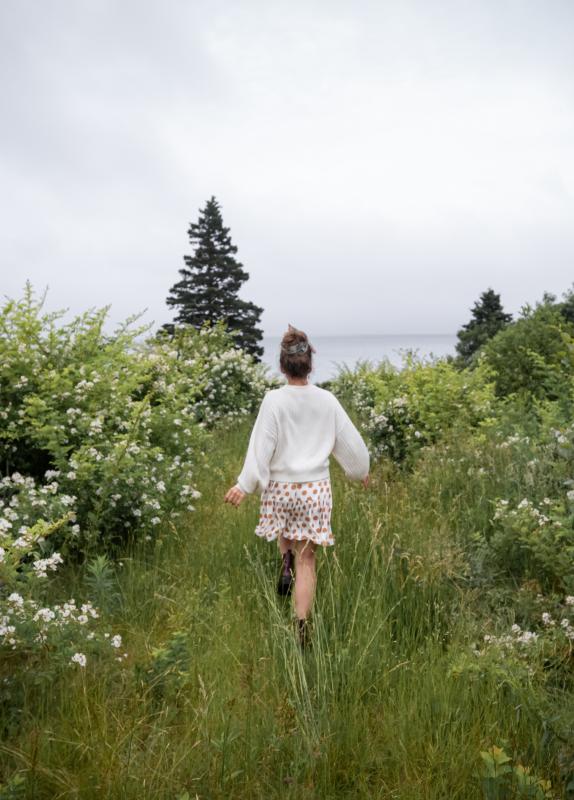 Field of Flowers on Grand Manan Island, New Brunswick