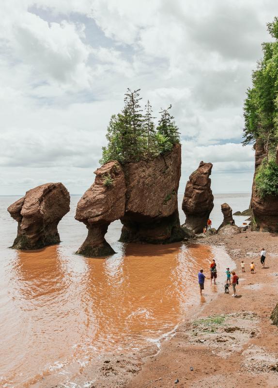 Hopewell Rocks 